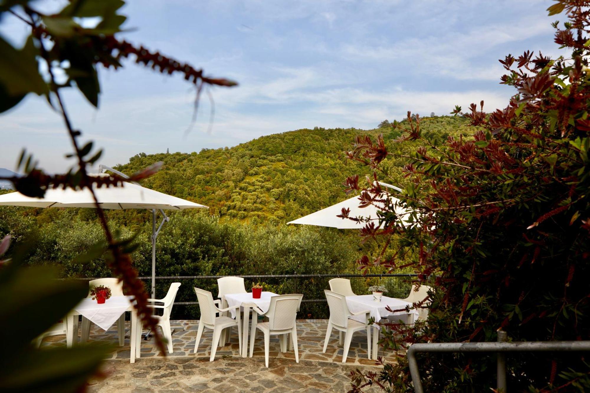 Вилла Il Vecchio Frantoio Stella Cilento Экстерьер фото