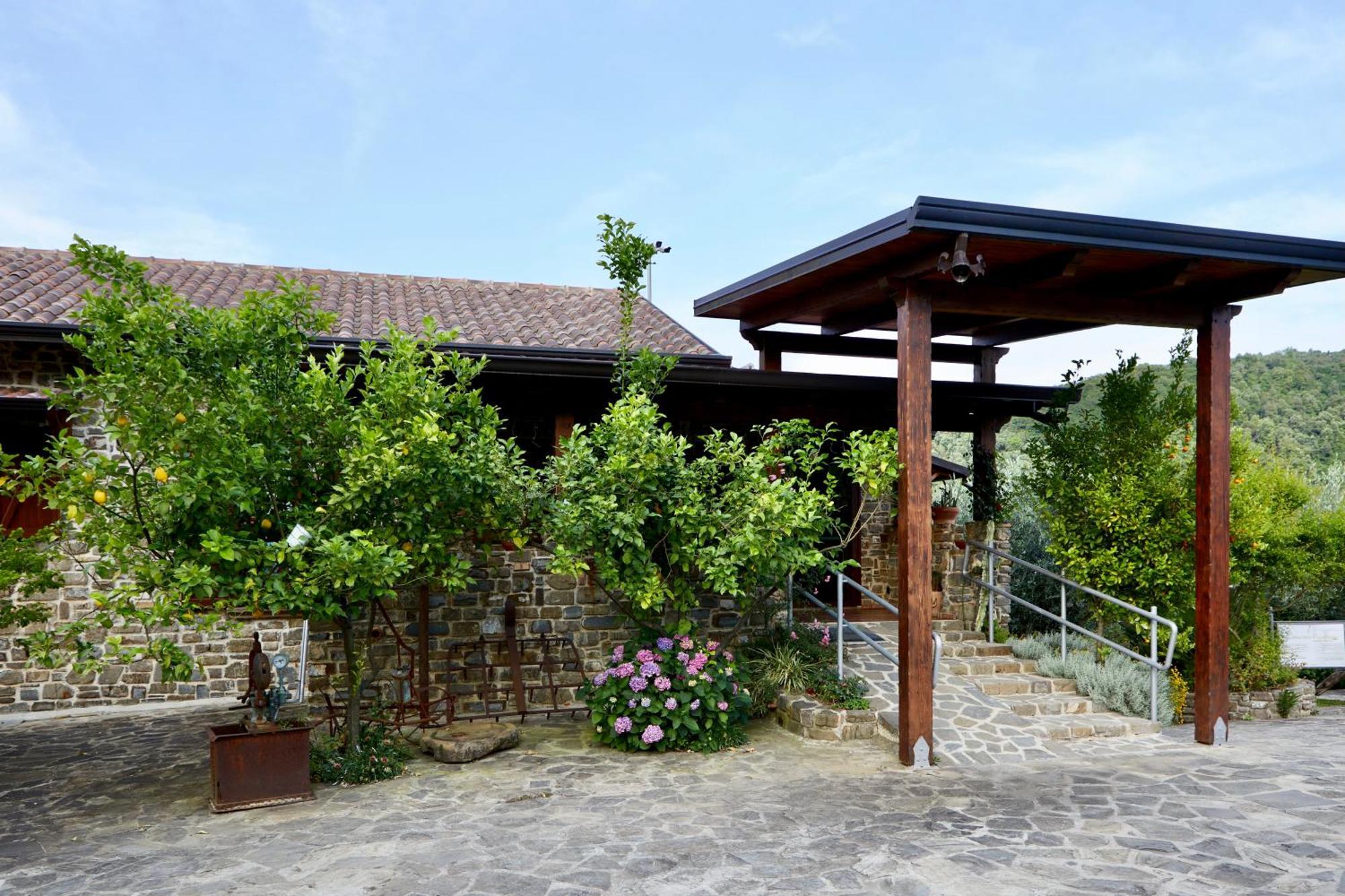 Вилла Il Vecchio Frantoio Stella Cilento Экстерьер фото