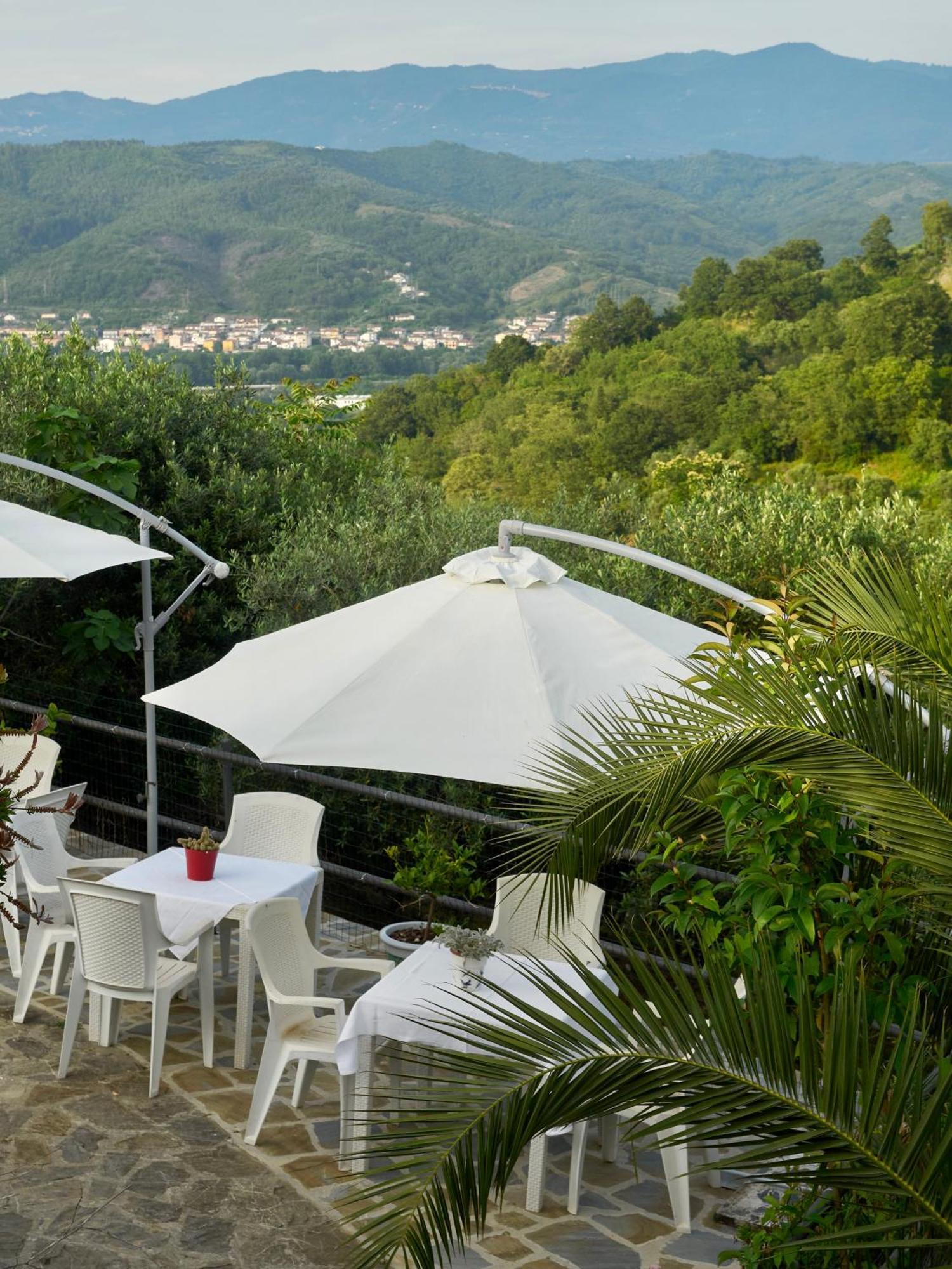 Вилла Il Vecchio Frantoio Stella Cilento Экстерьер фото