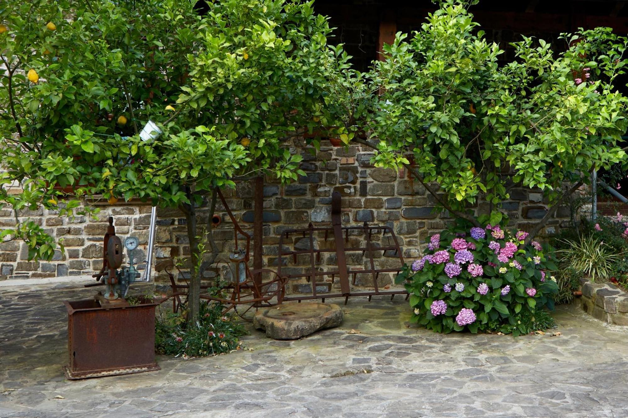 Вилла Il Vecchio Frantoio Stella Cilento Экстерьер фото